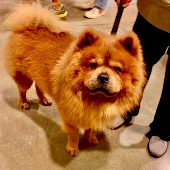 Meet your Posher, Leticia - Picture 5 of 5